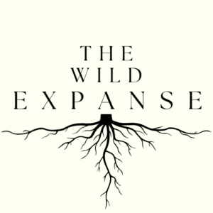 The Wild Expanse (20) - Rebecca Gildea