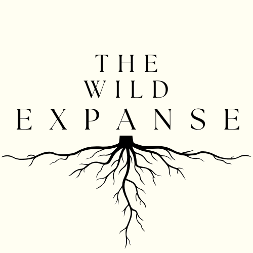 The Wild Expanse (20) - Rebecca Gildea The Wild Expanse (20) - Rebecca Gildea